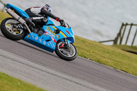 PJ-Motorsport-2019;anglesey-no-limits-trackday;anglesey-photographs;anglesey-trackday-photographs;enduro-digital-images;event-digital-images;eventdigitalimages;no-limits-trackdays;peter-wileman-photography;racing-digital-images;trac-mon;trackday-digital-images;trackday-photos;ty-croes